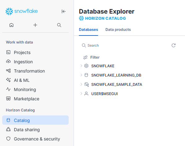 Imagen de bases de datos en Snowflake